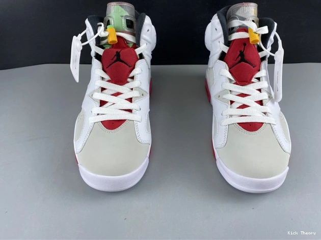 Kick Theory Jordan Hare 6 CT8529-062 Air 0716